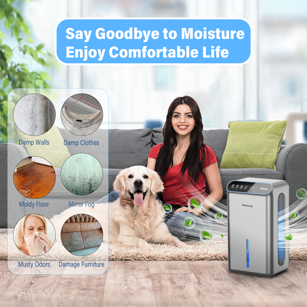 CT6 Dehumidifier for Home
